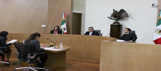 Resuelve la Sala Regional Ciudad de México asuntos de fiscalización de MORENA, Movimiento Ciudadano, Partido del Trabajo y candidaturas independientes en Puebla y Ciudad de México