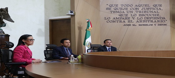 Se confirma resolución local relativa a la elección de la coordinación territorial para el pueblo de Santa Cruz Xochitepec, Xochimilco