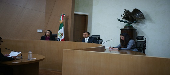 Resuelve la Sala Regional Ciudad de México impugnaciones en contra de la designación de Consejerías Distritales federales y locales y asunto de fiscalización del Partido Alianza Ciudadana