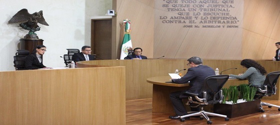 A través de sus resoluciones la Sala Regional Ciudad de México del Tribunal Electoral del Poder Judicial de la Federación, protege el derecho ciudadano a votar y ser votado