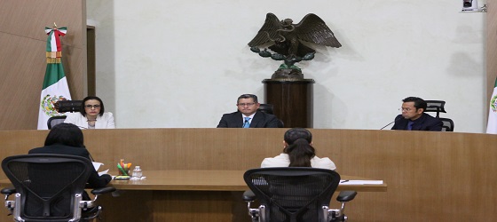 Pleno de la Sala regional Ciudad de México resuelve asunto relativo al cumplimiento de apoyo ciudadano requerido para registro de candidatura independiente a Senaduría en Tlaxcala