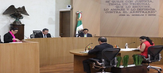 Paridad de género, principio constitucional rector en las resoluciones de la Sala Regional Ciudad de México del Tribunal Electoral del Poder Judicial de la Federación