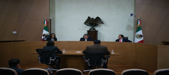 La Sala Regional Ciudad de México resuelve asuntos relativos a la renovación de Comités Delegacionales del PRI y a la afiliación al PAN, ambos en la Ciudad de México