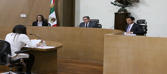 Se resuelven asuntos derivados del proceso de fiscalización al PRI y a aspirante a candidatura independiente en Guerrero