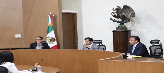 La SRCDMX confirma la respuesta emitida por el INE relativa a la titularidad de la Presidencia del Comité Ejecutivo Estatal de MORENA en Guerrero