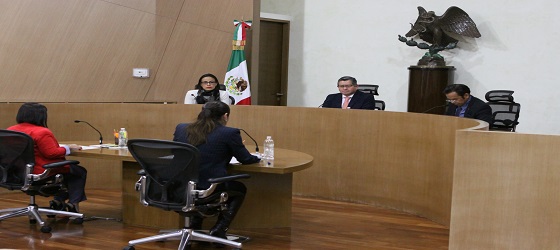 Se pronuncia la Sala Regional Ciudad de México en asuntos de candidaturas independientes a Diputaciones por el Estado de Puebla y al Senado por la Ciudad de México