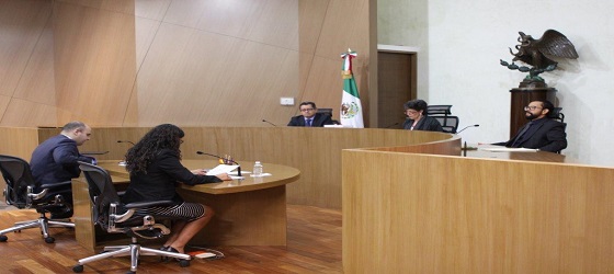 LA SALA REGIONAL DISTRITO FEDERAL  DEL TRIBUNAL ELECTORAL DEL PODER JUDICIAL DE LA FEDERACIÓN CONFIRMA LA ELECCIÓN FEDERAL EN LOS CONSEJOS ELECTORALES 02 Y 11 DEL ESTADO DE PUEBLA, ASI MISMO ESTE ORGANO JURISDICCIONAL CONCLUYE LAS IMPUGNACIONES PRESENTADAS EN EL PROCESO ELECTORAL PARA LA INTEGRACIÓN DE LA CAMARA DE DIPUTADOS