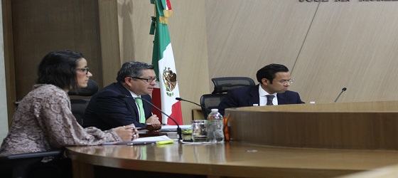 Resuelve la Sala Regional Ciudad de México asuntos de designación de Consejeras y Consejeros Electorales Distritales en Ciudad de México, Puebla, Guerrero y la Elección de Coordinador Territorial de Santiago Zapotitlán, Tláhuac