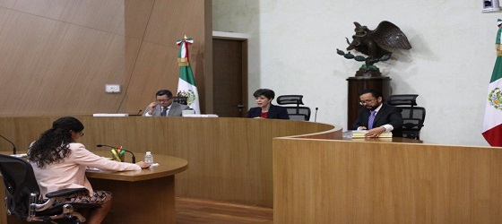 EN SESIÓN PÚBLICA LA SALA REGIONAL DISTRITO FEDERAL  DEL TRIBUNAL ELECTORAL DEL PODER JUDICIAL DE LA FEDERACIÓN, RESUELVE JUICIOS  PARA LA PROTECCION DE LOS DERECHOS POLITICO ELECTORALES DEL CIUDADANO, JUICIOS ELECTORALES Y RECURSOS DE RECONSIDERACIÓN CONSTITUCIONAL, DEL DISTRITO FEDERAL Y DE LOS ESTADOS DE PUEBLA  Y GUERRERO