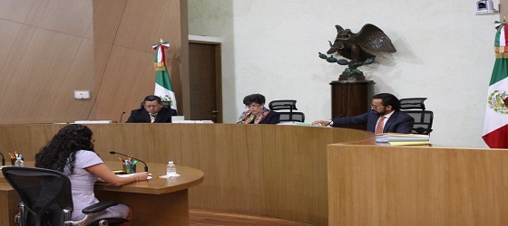 LA SALA REGIONAL DISTRITO FEDERAL  DEL TEPJF EN SESION PÚBLICA,   DA VISTA A LA FEPADE Y AL INE RESPECTO A LAS PRUEBAS SUPERVENIENTES OFRECIDAS POR EL PARTIDO DE LA REVOLUCIÓN DEMOCRÁTICA EN EL DISTRITO ELECTORAL XXVIII DEL DISTRITO FEDERAL