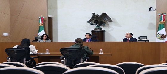 SRCDMX confirma acuerdo del Tribunal local relativo a la emisión de la Ley de Participación de la Ciudad de México