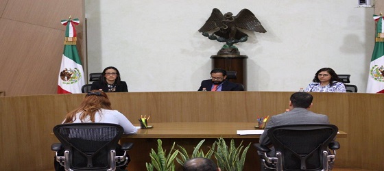 Resuelve la Sala Regional Ciudad de México impugnaciones de proceso electoral y determinaciones intrapartidarias