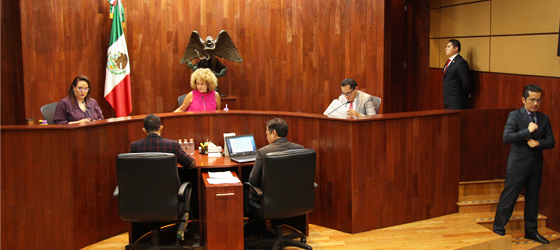 LA SALA ESPECIALIZADA SANCIONA AL PRI POR DIFUNDIR PROMOCIONAL CON LA IMAGEN DE MARÍA DEL ROSARIO BARBOSA SIN SU CONSENTIMIENTO Y POR OMITIR AL EMISOR DEL MENSAJE