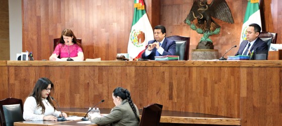 LA SALA REGIONAL GUADALAJARA DEL TEPJF CONFIRMA SANCIÓN IMPUESTA AL PARTIDO VERDE ECOLOGISTA DE MÉXICO