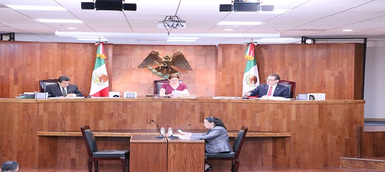 LA SALA REGIONAL GUADALAJARA EMITIÓ 38 SENTENCIAS RELATIVAS AL REGISTRO DE CANDIDATOS, PARIDAD DE GÉNERO y CANDIDATURAS INDEPENDIENTES, ENTRE OTROS