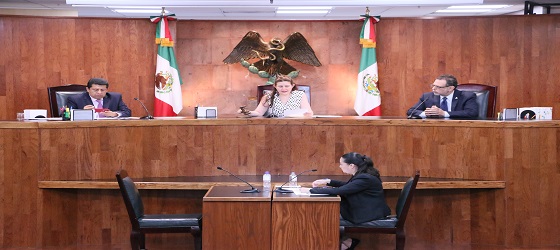 LA SALA REGIONAL GUADALAJARA RESOLVIÓ 377 JUICIOS PARA LA PROTECCIÓN DE LOS DERECHOS POLÍTICO ELECTORALES DEL CIUDADANO RELACIONADOS CON LA ELECCIÓN MUNICIPAL EN ACATLÁN DE JUÁREZ, JALISCO