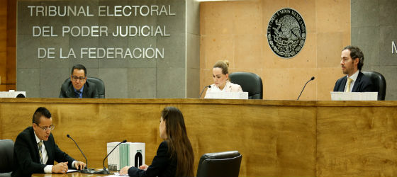 LA SALA MONTERREY CONCEDE UNA REPARACIÓN EN SUS DERECHOS A LA CONSEJERA DEL ORGANISMO PÚBLICO ELECTORAL LOCAL DE SAN LUIS POTOSÍ