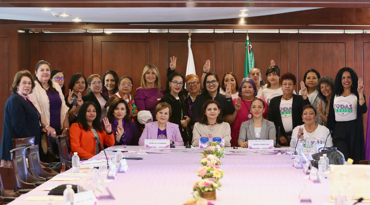 Reforzará el TEPJF la defensa de los derechos político-electorales de las mujeres con una defensoría especializada <br />
<br />
<br type="_moz" />