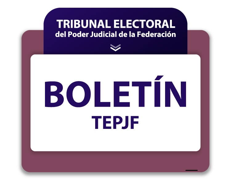 Los adultos mayores gozan de protección especial en materia laboral electoral: TEPJF<br />