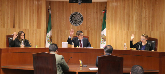 RESUELVE LA SALA REGIONAL TOLUCA DEL TEPJF UN JUICIO PROMOVIDO POR MOVIMIENTO CIUDADANO RELACIONADO CON LA PROMOCIÓN DE LA IMAGEN DE UN DIPUTADO FEDERAL EN EL ESTADO DE MÉXICO.