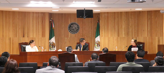 RESUELVE LA SALA REGIONAL TOLUCA DEL TEPJF JUICIO CIUDADANO RELACIONADO CON EL REGISTRO DE UNA PRECANDIDATA A DIPUTADA LOCAL DEL PRI EN MICHOACÁN.