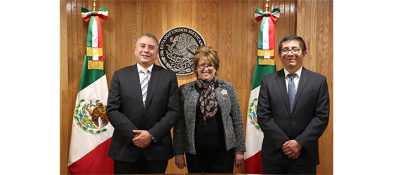 EL PLENO DE LA SALA REGIONAL TOLUCA ELIGE A LA MAGISTRADA MARCELA ELENA FERNÁNDEZ DOMÍNGUEZ COMO PRESIDENTA