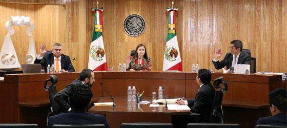 SALA REGIONAL TOLUCA ABONA A LA REPRESENTACIÓN DE GRUPO INDÍGENA MIGRATORIO DE VALLE DE CHALCO, ESTADO DE MÉXICO