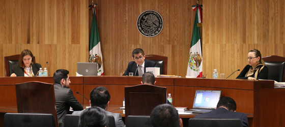 ORDENA LA SALA TOLUCA DEL TEPJF SE MODIFIQUE LA CONVOCATORIA DEL PROCESO INTERNO DE SELECCIÓN DE CANDIDATOS DEL PRI EN AYUNTAMIENTOS DEL ESTADO DE MÉXICO