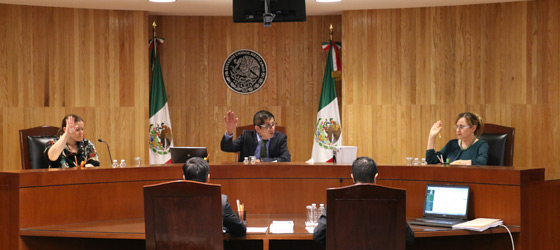 REVOCA LA SALA TOLUCA DEL TEPJF RESOLUCIÓN DICTADA POR EL TRIBUNAL ELECTORAL DEL ESTADO DE MÉXICO RELACIONADA CON ACTOS ANTICIPADOS DE CAMPAÑA DEL PRD EN EL ESTADO DE MÉXICO.