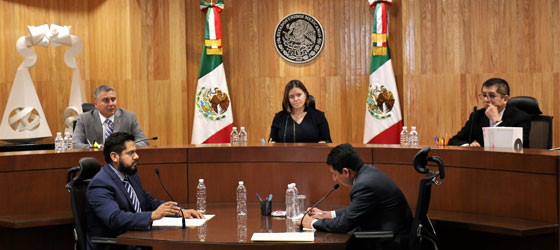 LA SALA REGIONAL TOLUCA ORDENA AL INSTITUTO ELECTORAL DEL ESTADO DE MÉXICO QUE PARA LA DESIGNACIÓN DE VOCALES DISTRITALES Y MUNICIPALES PARA EL PROCESO ELECTORAL 2017-2018, ÚNICAMENTE CONSIDERE LOS ANTECEDENTES DE SANCIÓN DEL PROCESO ELECTORAL INMEDIATO ANTERIOR