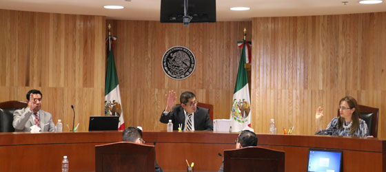 CONFIRMA LA SALA REGIONAL TOLUCA DEL TEPJF SENTENCIAS EMITIDAS POR EL TEEM RELACIONADAS CON ACTOS ANTICIPADOS DE CAMPAÑA DE UN PRECANDIDATO DE MORENA EN EL ESTADO DE MÉXICO.