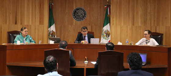 ORDENA LA SALA REGIONAL TOLUCA DEL TEPJF SE INCLUYAN CANDIDATURAS DE JÓVENES EN LA PLANILLA DE AYUNTAMIENTO DEL PARTIDO REVOLUCIONARIO INSTITUCIONAL EN COMALA, COLIMA.