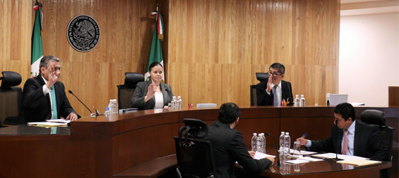 LA SALA REGIONAL TOLUCA DEL TEPJF, RESUELVE JUICIO PROMOVIDO POR UNA ASPIRANTE A REGIDURÍA DEL PRD EN MINERAL DE LA REFORMA, HIDALGO