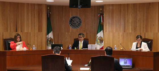 RESUELVE LA SALA REGIONAL TOLUCA DEL TEPJF JUICIOS DE INCONFORMIDAD RELACIONADOS CON LA ELECCIÓN DE DIPUTADOS FEDERALES