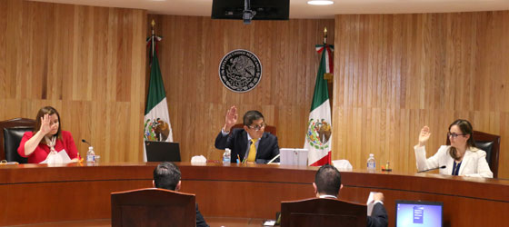 RESUELVE LA SALA REGIONAL TOLUCA DEL TEPJF JUICIOS DE INCONFORMIDAD RELACIONADOS CON CÓMPUTOS DISTRITALES DEL ESTADO DE MÉXICO