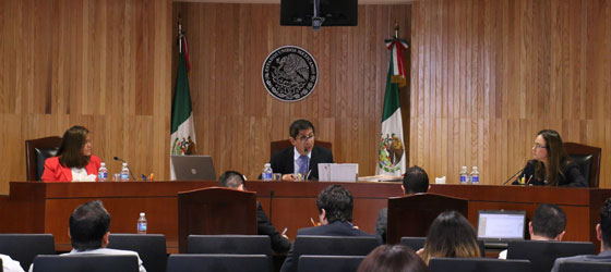 RESUELVE LA SALA REGIONAL TOLUCA DEL TEPJF DIVERSOS JUICIOS DE REVISIÓN CONSTITUCIONAL ELECTORAL DEL ESTADO DE MICHOACÁN.