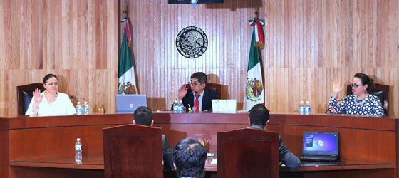 CONFIRMA LA SALA REGIONAL TOLUCA DEL TEPJF EL RESULTADO DE LA ELECCIÓN DEL XVIII DISTRITO DE TLALNEPANTLA DE BAZ, ESTADO DE MÉXICO.