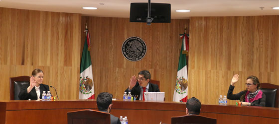 CONFIRMA LA SALA REGIONAL TOLUCA ELECCIÓN DEL AYUNTAMIENTO DE TEMASCALCINGO, ESTADO DE MÉXICO.