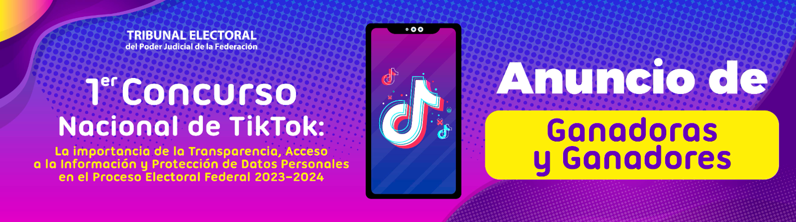 Ganadoras y ganadores del 1er Concurso Nacional de TikTok